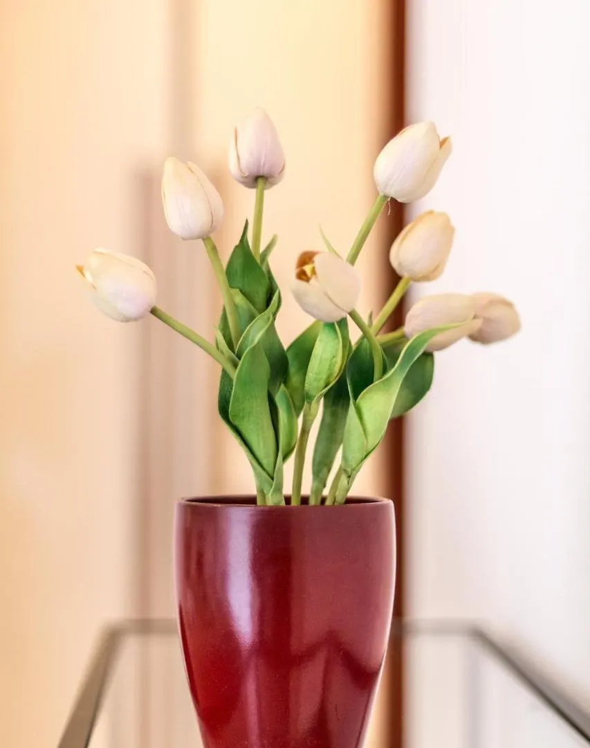 בולוניה 4 Star Boutique Rooms בית הארחה